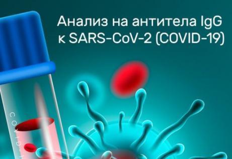 Зболеваемость привитых Спутник V на 96,3% ниже, чем непривитых — белорусско-российские результаты исследований