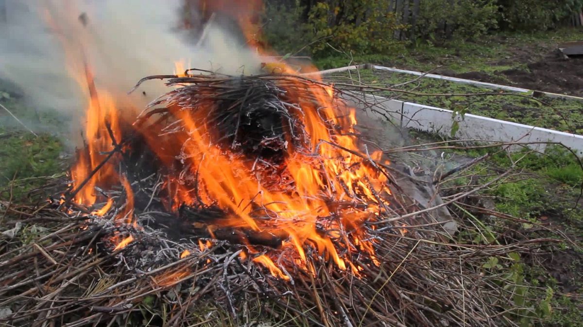 Советы МЧС для дачников и огородников