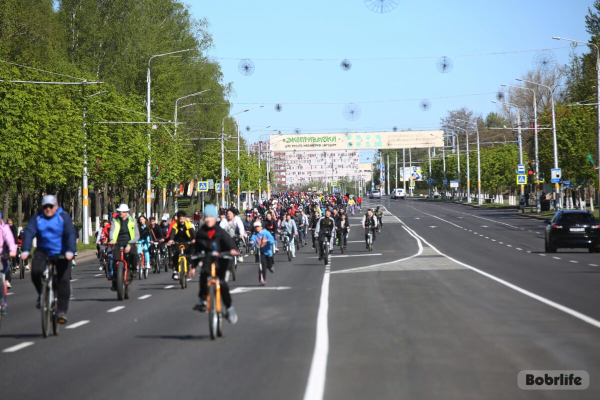 Сервировка и хранение в Бобруйске