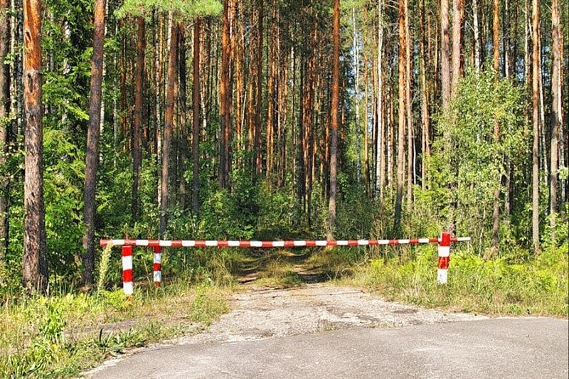 Интерактивная карта запрета посещения лесов в беларуси