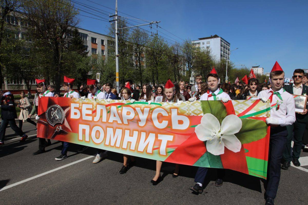 В ветеринарно-санитарном учреждении Бобруйска установлен единый прейскурант  цен для проведения исследований проб от дикого кабана — Бобруйский  новостной портал Bobrlife