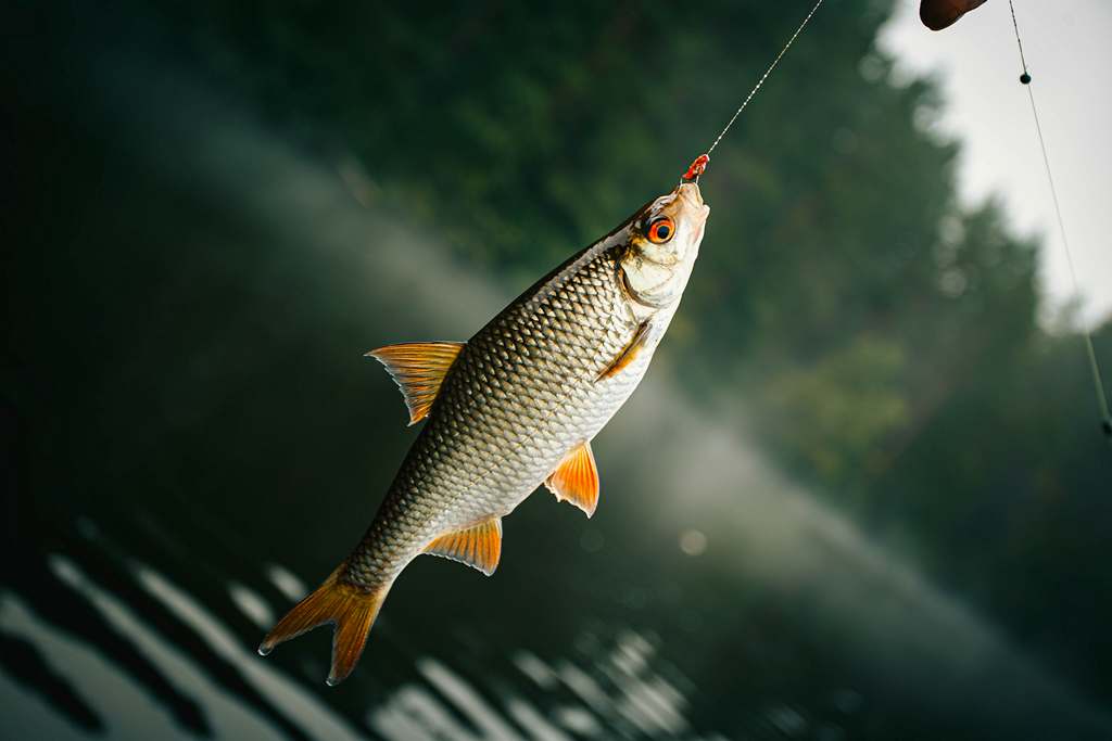 ГОСЭНЕРГОГАЗНАДЗОР предупреждает: рыбалка может быть опасной!