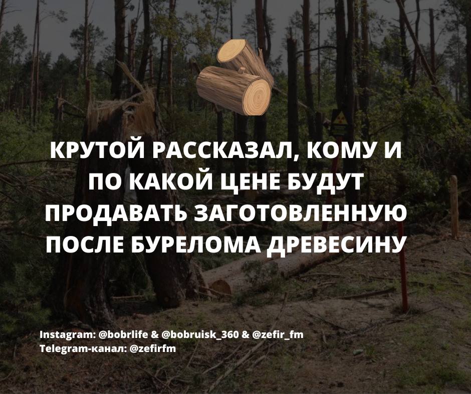 Крутой рассказал, кому и по какой цене будут продавать заготовленную после бурелома древесину