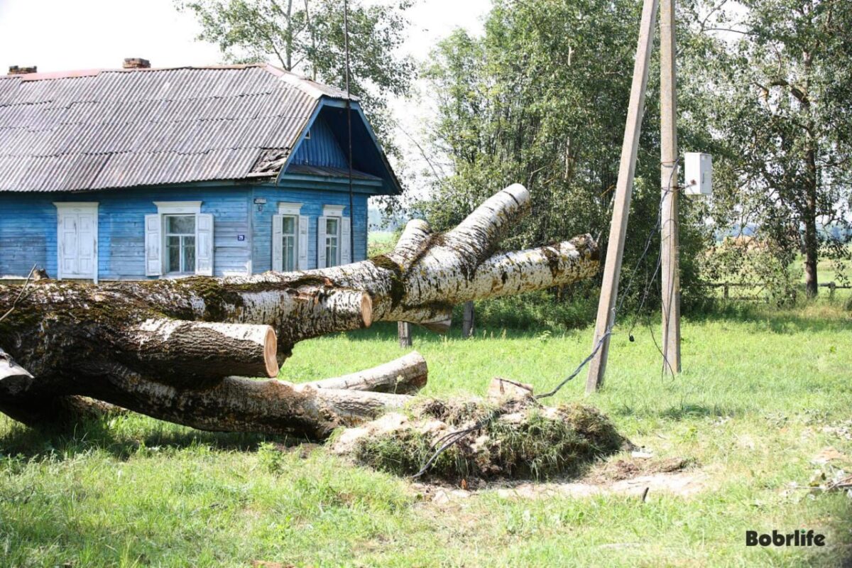 А. Лукашенко лично контролирует ход работ по ликвидации последствий стихии  в Беларуси — Бобруйский новостной портал Bobrlife