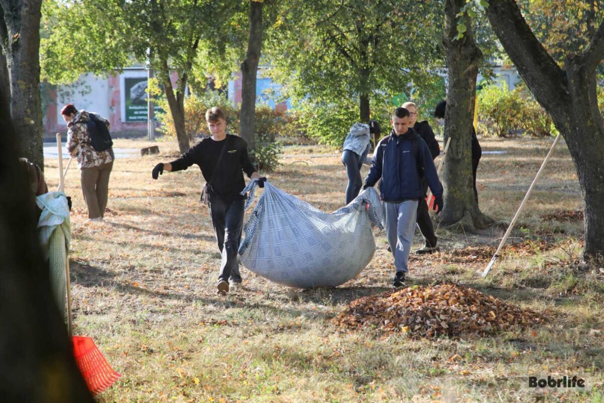 Вместе за чистоту и порядок. Депутаты и молодежь Бобруйска провели субботник