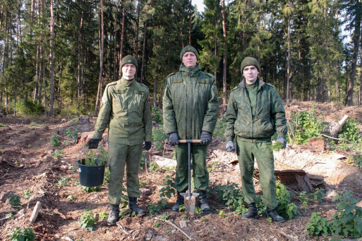 Военнослужащие 83-го полка приняли участие в Республиканской акции «Дай лесу новае жыццё»