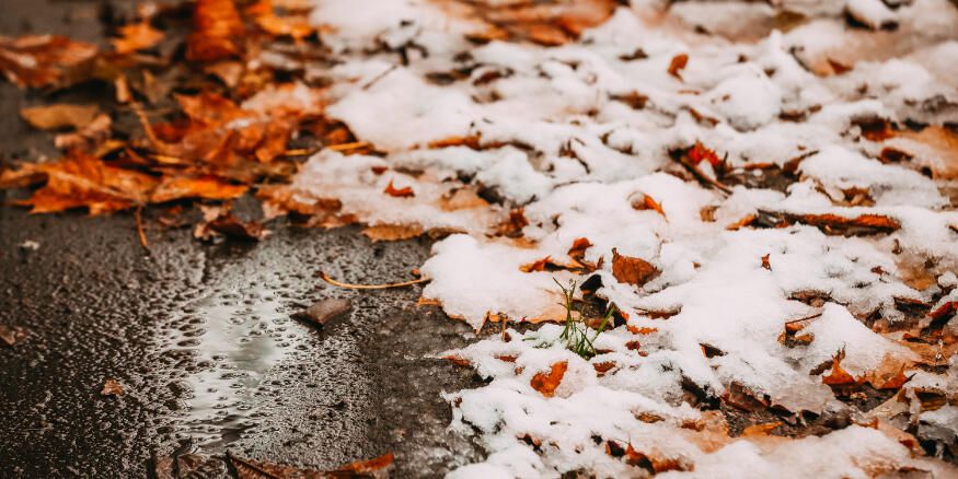 В Беларуси похолодает. Мокрый снег и до +8 °С обещают синоптики 2 ноября