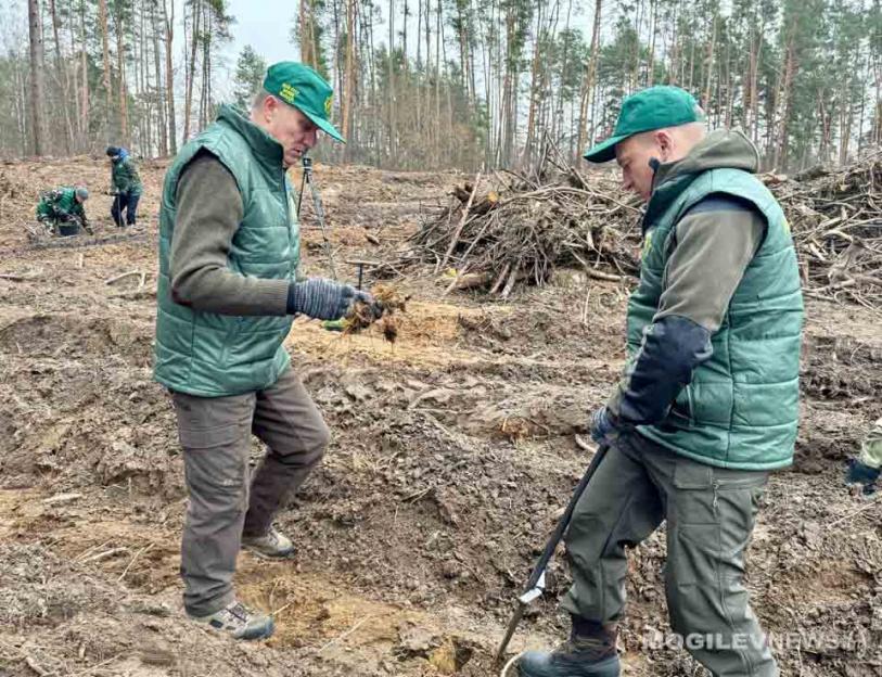 Премьер-министр Республики Беларусь Роман Головченко принял участие в акции «Дай лесу новае жыццё!» в Быховском районе